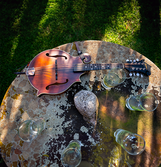 This image for Image Layouts addon